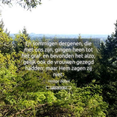 Picture 05 - Lukas 24:24 NLD - En sommigen dergenen, die met ons zijn, gingen - Bible Verse Picture