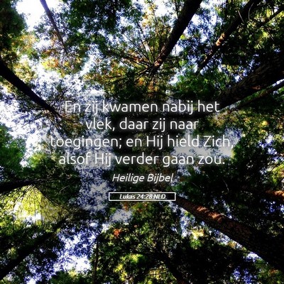 Picture 05 - Lukas 24:28 NLD - En zij kwamen nabij het vlek, daar zij naar - Bible Verse Picture