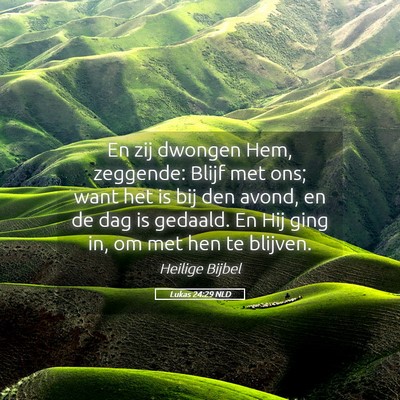 Picture 05 - Lukas 24:29 NLD - En zij dwongen Hem, zeggende: Blijf met ons; want - Bible Verse Picture