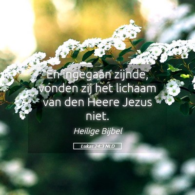Picture 05 - Lukas 24:3 NLD - En ingegaan zijnde, vonden zij het lichaam van - Bible Verse Picture