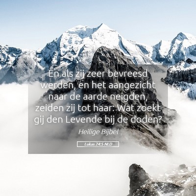 Picture 05 - Lukas 24:5 NLD - En als zij zeer bevreesd werden, en het - Bible Verse Picture