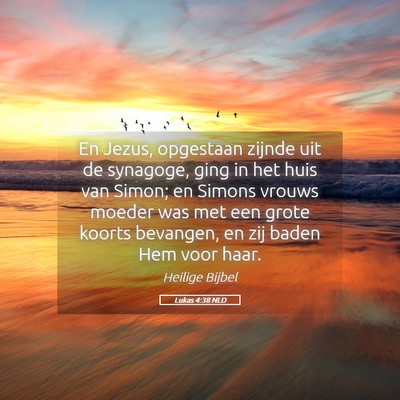Picture 05 - Lukas 4:38 NLD - En Jezus, opgestaan zijnde uit de synagoge, ging - Bible Verse Picture
