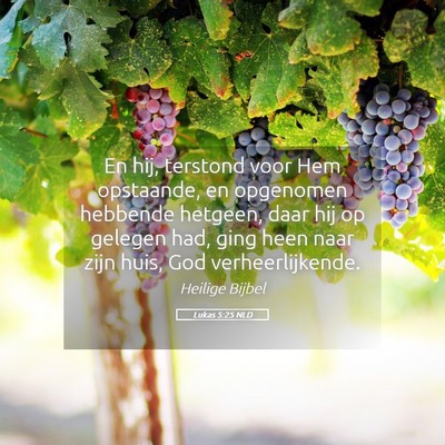 Picture 05 - Lukas 5:25 NLD - En hij, terstond voor Hem opstaande, en opgenomen - Bible Verse Picture