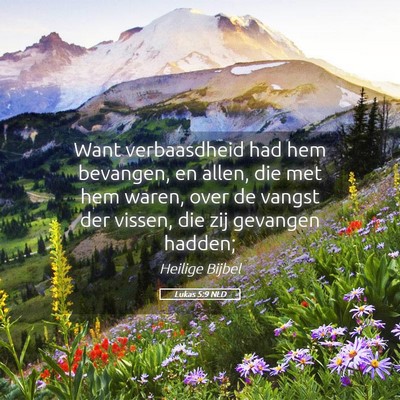 Picture 05 - Lukas 5:9 NLD - Want verbaasdheid had hem bevangen, en allen, die - Bible Verse Picture
