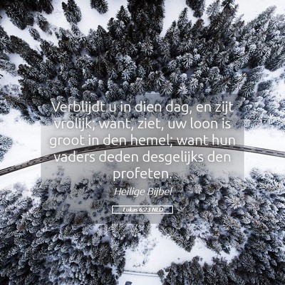 Picture 05 - Lukas 6:23 NLD - Verblijdt u in dien dag, en zijt vrolijk; want, - Bible Verse Picture