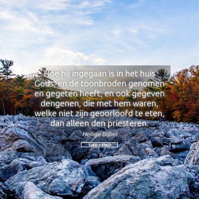 Picture 05 - Lukas 6:4 NLD - Hoe hij ingegaan is in het huis Gods, en de - Bible Verse Picture