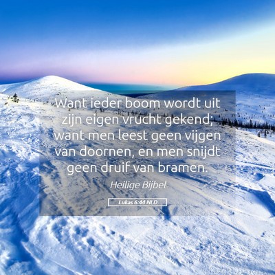 Picture 05 - Lukas 6:44 NLD - Want ieder boom wordt uit zijn eigen vrucht - Bible Verse Picture