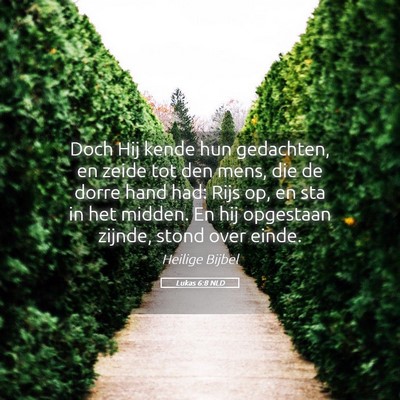Picture 05 - Lukas 6:8 NLD - Doch Hij kende hun gedachten, en zeide tot den - Bible Verse Picture