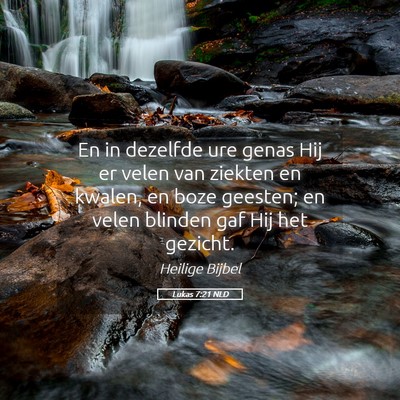 Picture 05 - Lukas 7:21 NLD - En in dezelfde ure genas Hij er velen van ziekten - Bible Verse Picture
