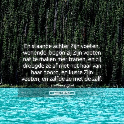 Picture 05 - Lukas 7:38 NLD - En staande achter Zijn voeten, wenende, begon zij - Bible Verse Picture