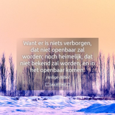 Picture 05 - Lukas 8:17 NLD - Want er is niets verborgen, dat niet openbaar zal - Bible Verse Picture