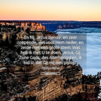Picture 05 - Lukas 8:28 NLD - En hij, Jezus ziende, en zeer roepende, viel voor - Bible Verse Picture