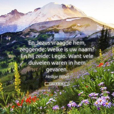 Picture 05 - Lukas 8:30 NLD - En Jezus vraagde hem, zeggende: Welke is uw naam? - Bible Verse Picture