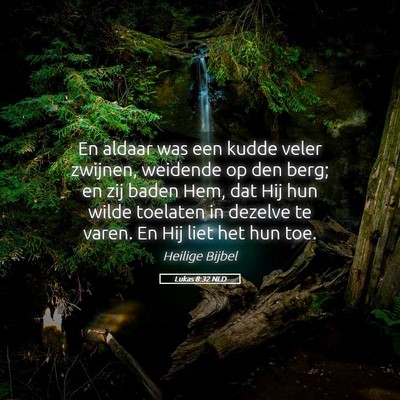 Picture 05 - Lukas 8:32 NLD - En aldaar was een kudde veler zwijnen, weidende - Bible Verse Picture