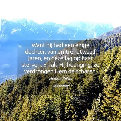 Picture 05 - Lukas 8:42 NLD - Want hij had een enige dochter, van omtrent - Bible Verse Picture