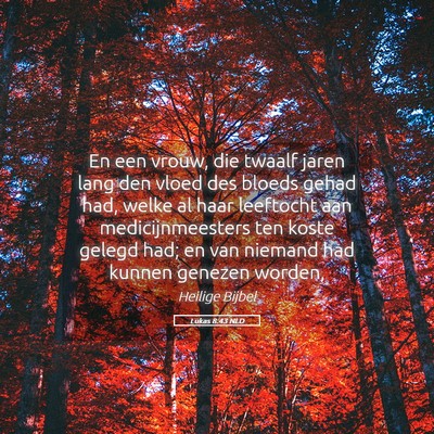 Picture 05 - Lukas 8:43 NLD - En een vrouw, die twaalf jaren lang den vloed des - Bible Verse Picture
