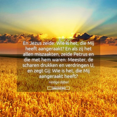 Picture 05 - Lukas 8:45 NLD - En Jezus zeide: Wie is het, die Mij heeft - Bible Verse Picture