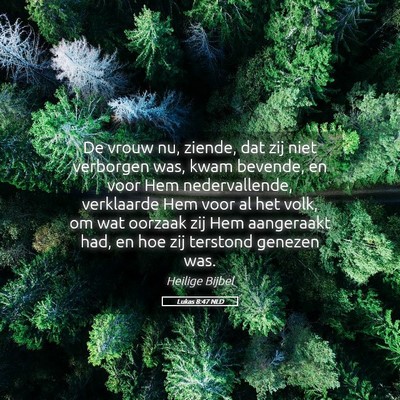 Picture 05 - Lukas 8:47 NLD - De vrouw nu, ziende, dat zij niet verborgen was, - Bible Verse Picture