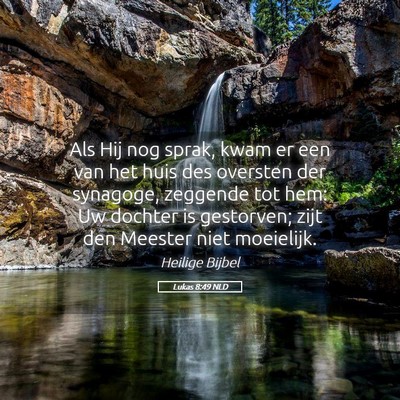Picture 05 - Lukas 8:49 NLD - Als Hij nog sprak, kwam er een van het huis des - Bible Verse Picture