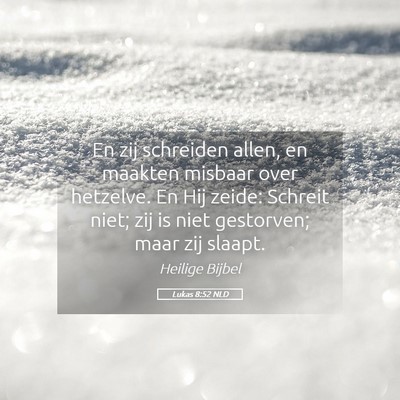 Picture 05 - Lukas 8:52 NLD - En zij schreiden allen, en maakten misbaar over - Bible Verse Picture