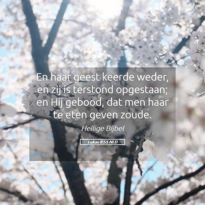 Picture 05 - Lukas 8:55 NLD - En haar geest keerde weder, en zij is terstond - Bible Verse Picture