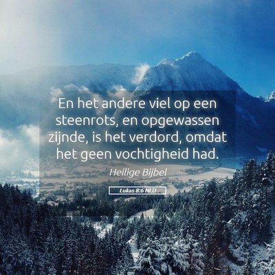 Picture 05 - Lukas 8:6 NLD - En het andere viel op een steenrots, en - Bible Verse Picture