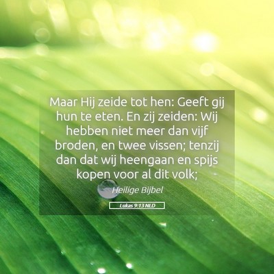 Picture 05 - Lukas 9:13 NLD - Maar Hij zeide tot hen: Geeft gij hun te eten. En - Bible Verse Picture