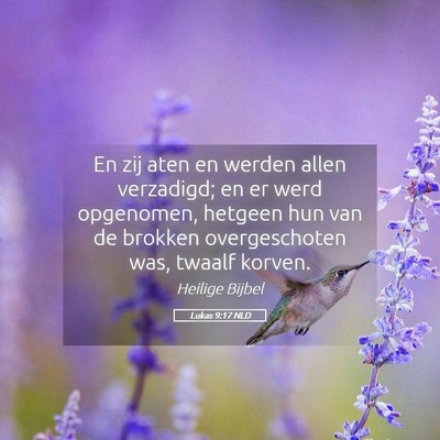 Picture 05 - Lukas 9:17 NLD - En zij aten en werden allen verzadigd; en er werd - Bible Verse Picture