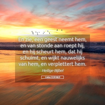 Picture 05 - Lukas 9:39 NLD - En zie, een geest neemt hem, en van stonde aan - Bible Verse Picture