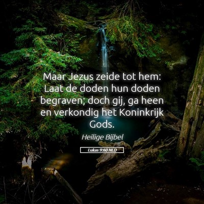 Picture 05 - Lukas 9:60 NLD - Maar Jezus zeide tot hem: Laat de doden hun doden - Bible Verse Picture