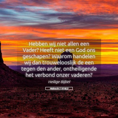 Picture 05 - Maleachi 2:10 NLD - Hebben wij niet allen een Vader? Heeft niet een - Bible Verse Picture