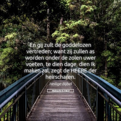 Picture 05 - Maleachi 4:3 NLD - En gij zult de goddelozen vertreden; want zij - Bible Verse Picture