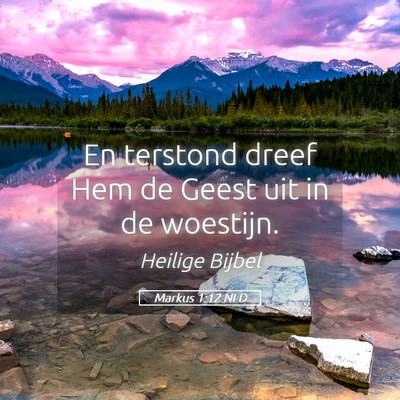Picture 05 - Markus 1:12 NLD - En terstond dreef Hem de Geest uit in de - Bible Verse Picture