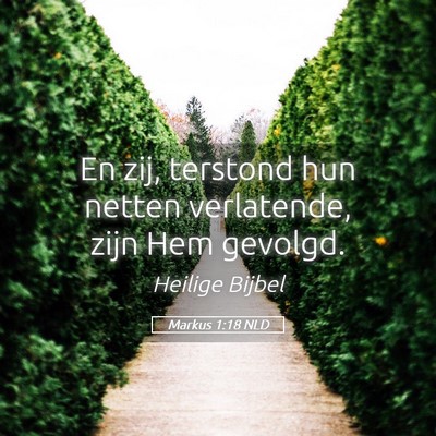Picture 05 - Markus 1:18 NLD - En zij, terstond hun netten verlatende, zijn Hem - Bible Verse Picture