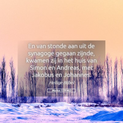 Picture 05 - Markus 1:29 NLD - En van stonde aan uit de synagoge gegaan zijnde, - Bible Verse Picture