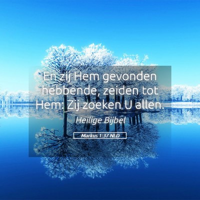 Picture 05 - Markus 1:37 NLD - En zij Hem gevonden hebbende, zeiden tot Hem: Zij - Bible Verse Picture