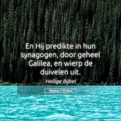 Picture 05 - Markus 1:39 NLD - En Hij predikte in hun synagogen, door geheel - Bible Verse Picture