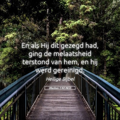 Picture 05 - Markus 1:42 NLD - En als Hij dit gezegd had, ging de melaatsheid - Bible Verse Picture