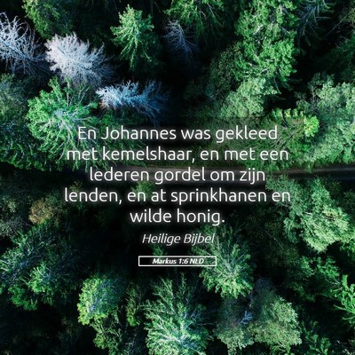 Picture 05 - Markus 1:6 NLD - En Johannes was gekleed met kemelshaar, en met - Bible Verse Picture