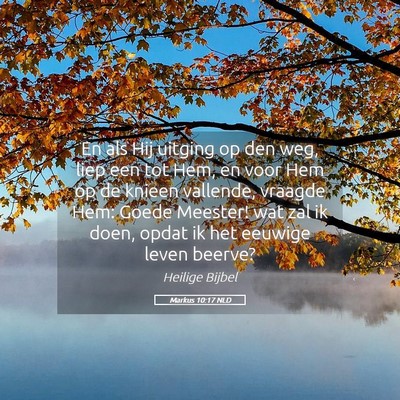 Picture 05 - Markus 10:17 NLD - En als Hij uitging op den weg, liep een tot Hem, - Bible Verse Picture