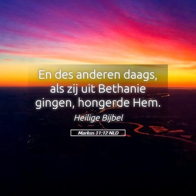 Picture 05 - Markus 11:12 NLD - En des anderen daags, als zij uit Bethanie - Bible Verse Picture
