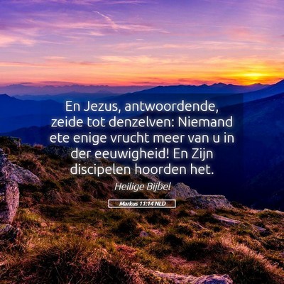 Picture 05 - Markus 11:14 NLD - En Jezus, antwoordende, zeide tot denzelven: - Bible Verse Picture