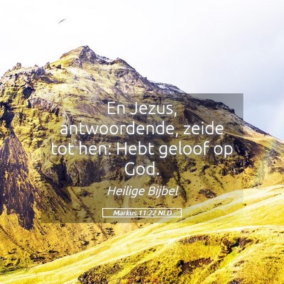 Picture 05 - Markus 11:22 NLD - En Jezus, antwoordende, zeide tot hen: Hebt - Bible Verse Picture