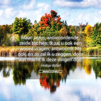 Picture 05 - Markus 11:29 NLD - Maar Jezus, antwoordende, zeide tot hen: Ik zal u - Bible Verse Picture