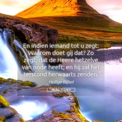 Picture 05 - Markus 11:3 NLD - En indien iemand tot u zegt: Waarom doet gij dat? - Bible Verse Picture
