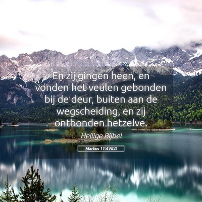 Picture 05 - Markus 11:4 NLD - En zij gingen heen, en vonden het veulen gebonden - Bible Verse Picture