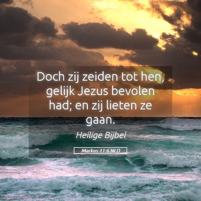 Picture 05 - Markus 11:6 NLD - Doch zij zeiden tot hen, gelijk Jezus bevolen - Bible Verse Picture