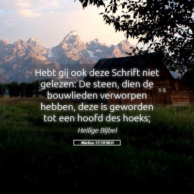 Picture 05 - Markus 12:10 NLD - Hebt gij ook deze Schrift niet gelezen: De steen, - Bible Verse Picture