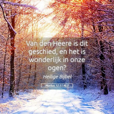 Picture 05 - Markus 12:11 NLD - Van den Heere is dit geschied, en het is - Bible Verse Picture