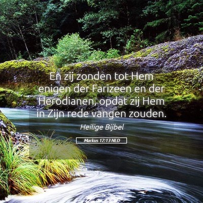 Picture 05 - Markus 12:13 NLD - En zij zonden tot Hem enigen der Farizeen en der - Bible Verse Picture